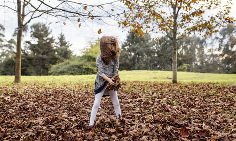 Little girl playing with autumn leaves on a meadow stock photo