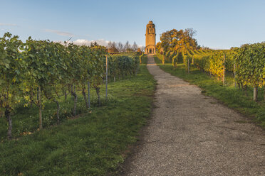 Germany, Constance, Vineyard and Bismarck Tower - KEBF000294