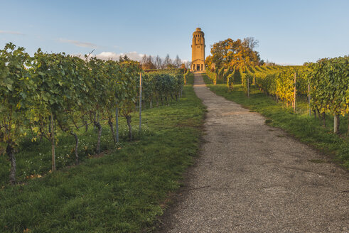 Deutschland, Konstanz, Weinberg und Bismarckturm - KEBF000294