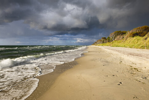 Deutschland, Mecklenburg-Vorpommern, Ostseestrand in Born auf dem Darss - SIEF006881