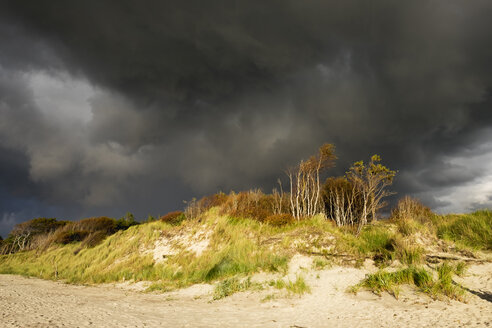 Deutschland, Mecklenburg-Vorpommern, Regenwolken über Ostseestrand in Born auf dem Darss - SIEF006882