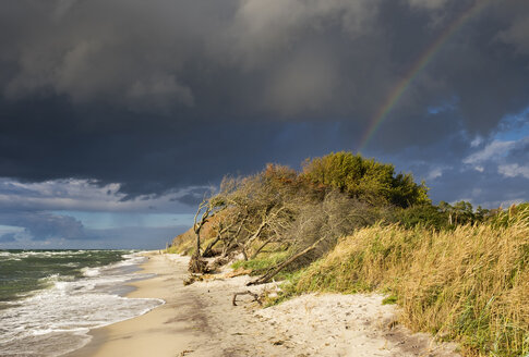 Deutschland, Mecklenburg-Vorpommern, Regenwolken und Regenbogen über Ostseestrand in Born auf dem Darss - SIEF006883