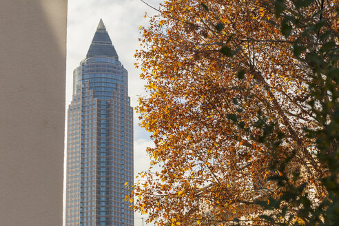 Deutschland, Frankfurt, Blick auf Messeturm und Baum mit Herbstlaub - ZMF000442