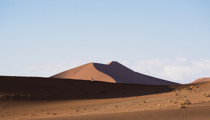 Namibia, Naukluft Park, Mann sitzt auf einer Düne in der Namib-Wüste - AMF004531