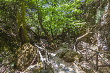 Greece, Rhodes, Petaloudes, Butterfly valley, path - WD003476