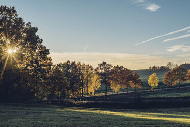 Germany, Saxony, rural landscape in backlight - MJF001696