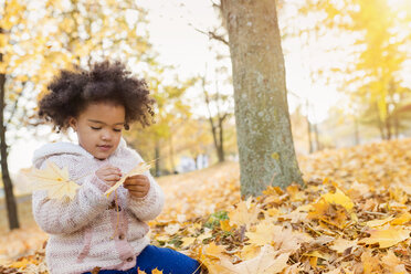 Kleines Mädchen spielt im Herbst im Park - HAPF000016