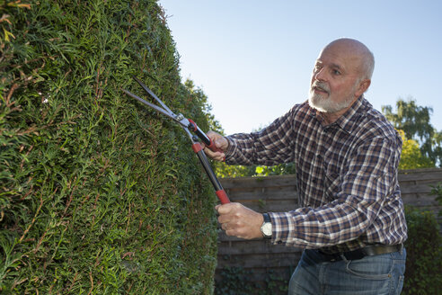 Älterer Mann schneidet Hecke - WIF003014