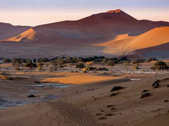 Namibia, Naukluft National Park, Namib Desert, Sossusvlei, Dead Vlei, Sand dunes in the evening - AMF004550