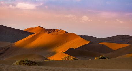 Namibia, Naukluft National Park, Namib Desert, Sossusvlei, Sand dunes at Dead Vlei in the evening - AMF004551