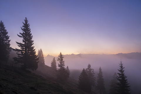 Deutschland, Bayern, Bayerische Voralpen, Sonnenuntergang am Jochberg, Morgenstimmung, lizenzfreies Stockfoto