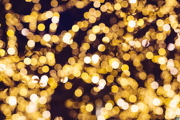 Goldenes Bokeh - MAUF000140