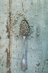 Sunflower seeds on spoon, wood - ASF005792