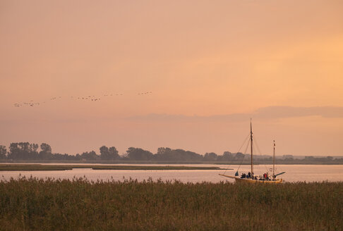 Deutschland, Zingst, Barther Bodden in der Abenddämmerung - SIEF006896