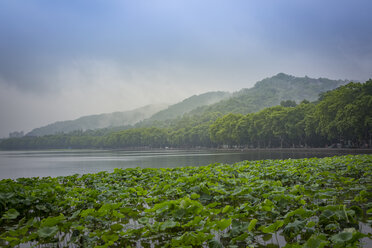 China, Zhejiang, Hangzhou, Fog rising from the mountains at the west lake - NKF000422