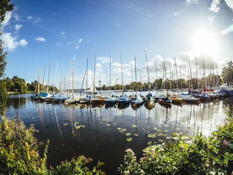 Deutschland, Hamburg, Aussenalster, Außenalster, Hafen, Segelboote, lizenzfreies Stockfoto