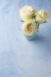 Three white roses in a flower vase on light blue ground - MYF001283