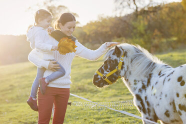 Mutter mit Tochter streichelt Pony auf der Koppel - HAPF000083
