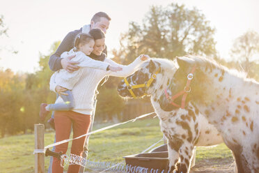 Familie streichelt Pony auf der Koppel - HAPF000085