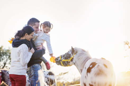 Familie und Pony auf der Koppel - HAPF000086