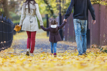 Family walking hand in hand in autumnal park - HAPF000088