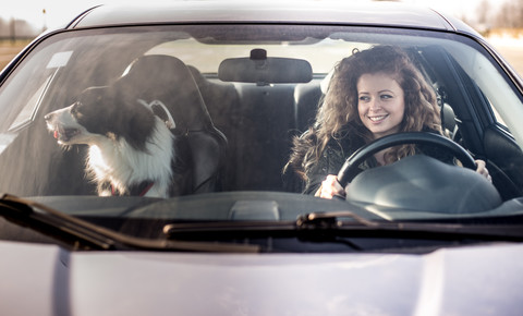 Woman driving car, dog sitting on passenger seat stock photo