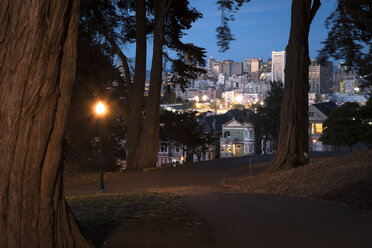 USA, Park, San Francisco bei Nacht - STCF000111