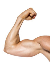 Muscular man flexing his biceps in front of white background, close-up - DAWF000392