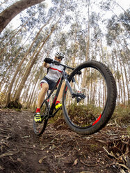 Mountainbiker beim Fahren im Wald - MGOF001204