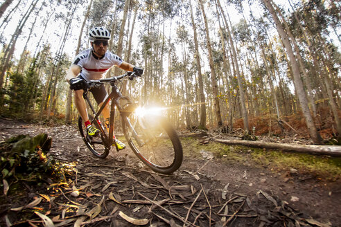 Mountainbiker beim Fahren im Wald - MGOF001205