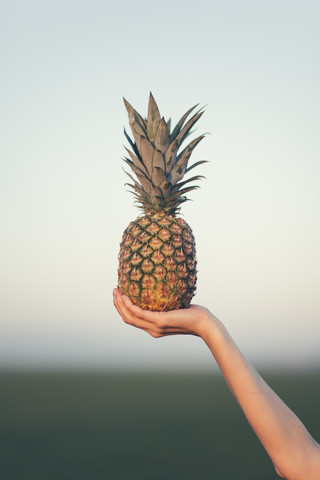 Woman holding a pineapple stock photo