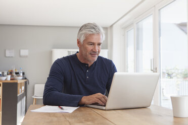 Portrait of mature man using laptop at home - RBF003826