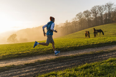 Junger Mann beim Joggen am Morgen, Pferde im Hintergrund - UUF006238