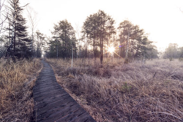 Österreich, Ibm, Ibmer Moor, Holzpromenade bei Sonnenaufgang - OPF000099