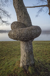 Austria, Ibm, tree trunk with knot on lake - OPF000100