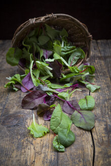 Weidenkorb und verschiedene Bio-Salatblätter auf dunklem Holz - LVF004359