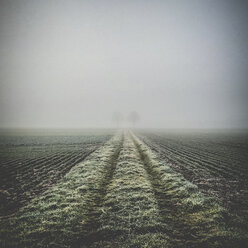 Germany, Tubingen, Fields in winter - LVF004373