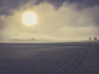 Germany, Tubingen, Fields in winter - LVF004374