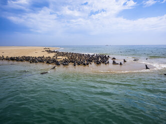 Namibia, Walvis Bay, Kap-Pelzrobben am Sandstrand liegend - AMF004614