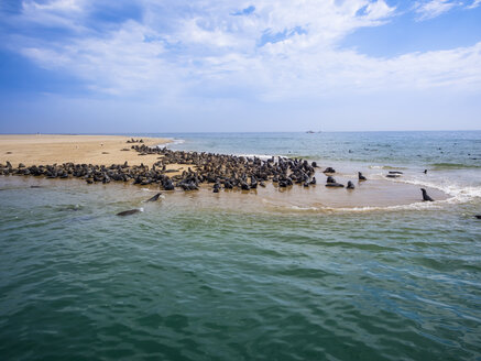 Namibia, Walvis Bay, Kap-Pelzrobben am Sandstrand liegend - AMF004614