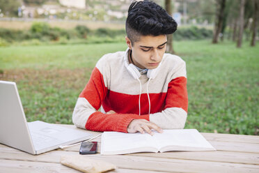 Schüler mit Laptop beim Lernen im Park - ALBF000011