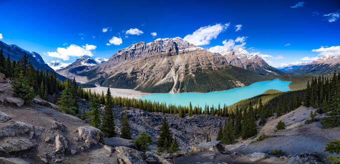 Kanada, Alberta, Gletscher, Rockies, Icefield Parkway, Peyto Lake, Banff National Park - SMAF000412
