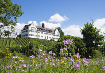 Deutschland, Immenstaad, Schloss Hersberg - SIE006905