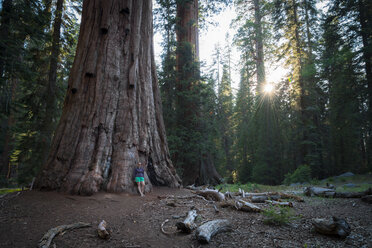 USA, California, Sequoia National Park, woman standing at giant sequoia - STCF000133