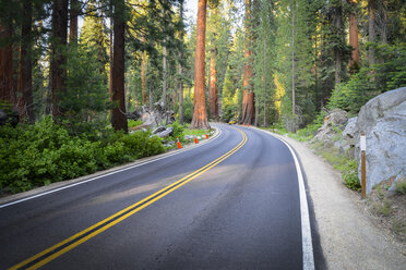 USA, California, Sequoia National Park, road and trees - STCF000135