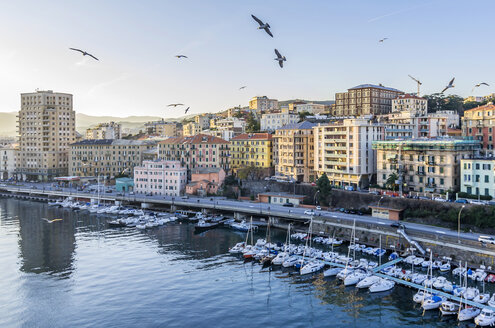 Italy, Liguria, Savona, Boats in harbour - THAF001534