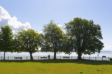 Deutschland, Friedrichshafen, Bodensee, Promenade - SIEF006918