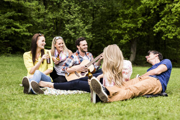 Glückliche Freunde mit Gitarre und Bierflaschen entspannen sich im Park - DAWF000452