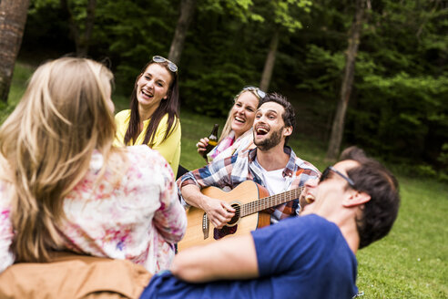 Glückliche Freunde mit Gitarre und Bierflaschen entspannen sich im Park - DAWF000454