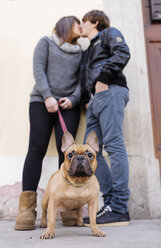 Porträt einer französischen Bulldogge mit küssenden Besitzern im Hintergrund - GEMF000609